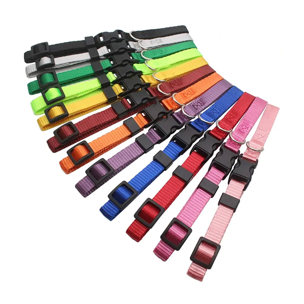 12 Pcs/set Collares de identificación de nailon suave para cachorros, collares ajustables con cierre de seguridad para la arena, bandas de identificación para perros pequeños y mascotas.