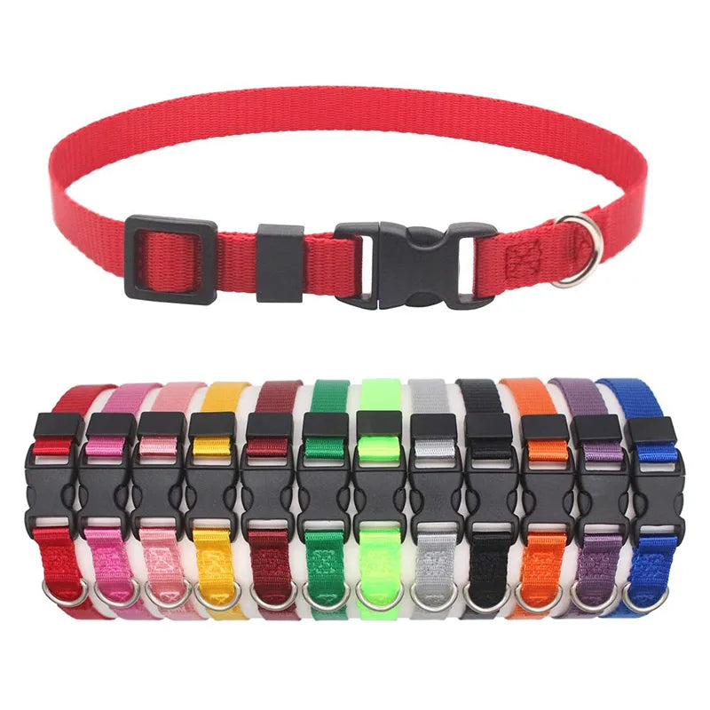 12 Pcs/set Collares de identificación de nailon suave para cachorros, collares ajustables con cierre de seguridad para la arena, bandas de identificación para perros pequeños y mascotas.