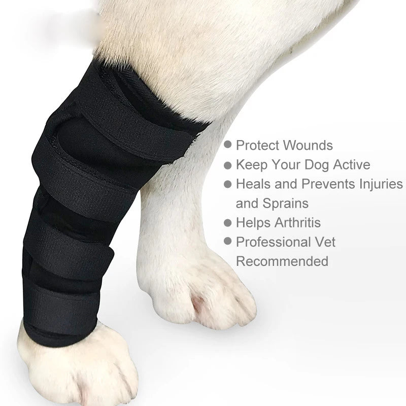 NONOR Vendas para perros, calentadores de patas para perros, correa de recuperación para fijación de articulaciones antilamido, soporte para piernas de pelo dorado de peluche, manguito para pies