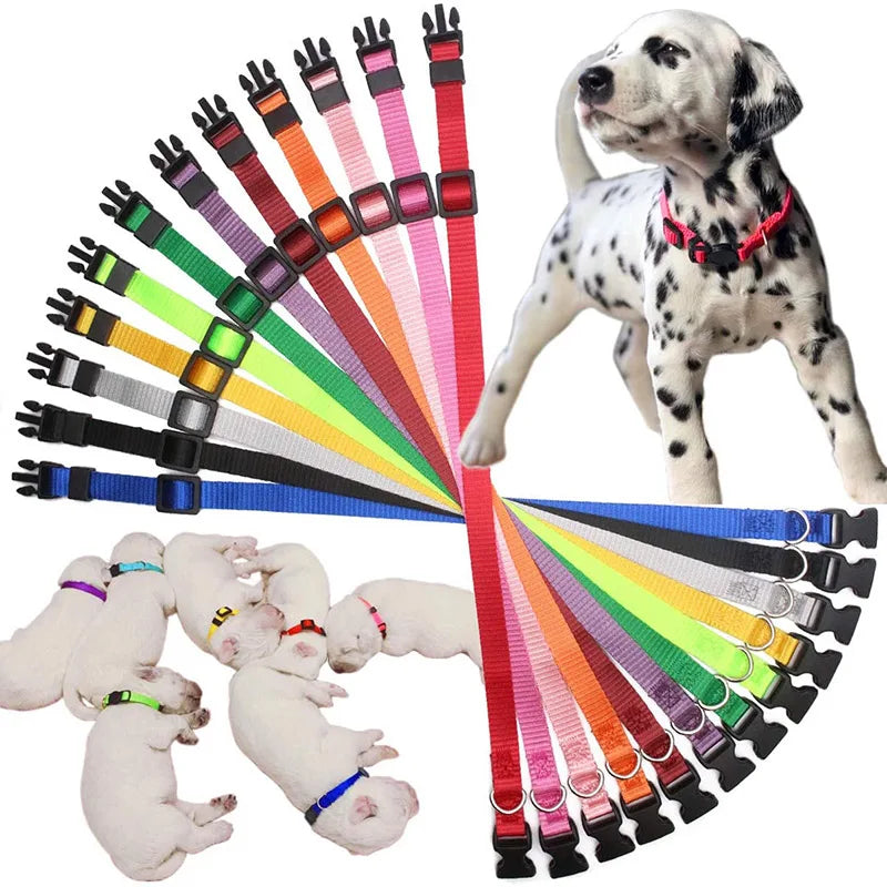 12 Pcs/set Collares de identificación de nailon suave para cachorros, collares ajustables con cierre de seguridad para la arena, bandas de identificación para perros pequeños y mascotas.