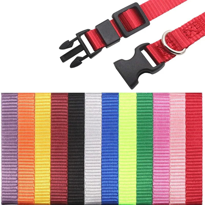 12 Pcs/set Collares de identificación de nailon suave para cachorros, collares ajustables con cierre de seguridad para la arena, bandas de identificación para perros pequeños y mascotas.